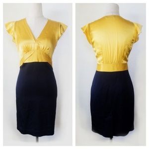 BCBG Silk block dress